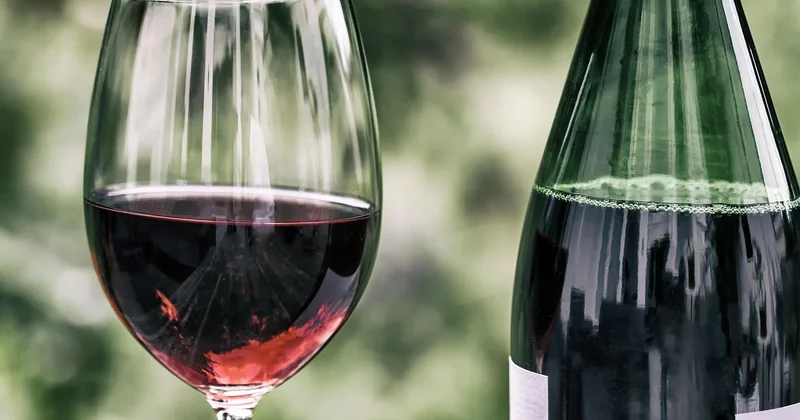Les meilleurs vins à goûter lors d'un voyage en Argentine