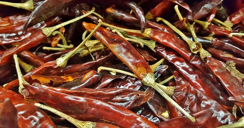 Les plats incontournables à goûter absolument