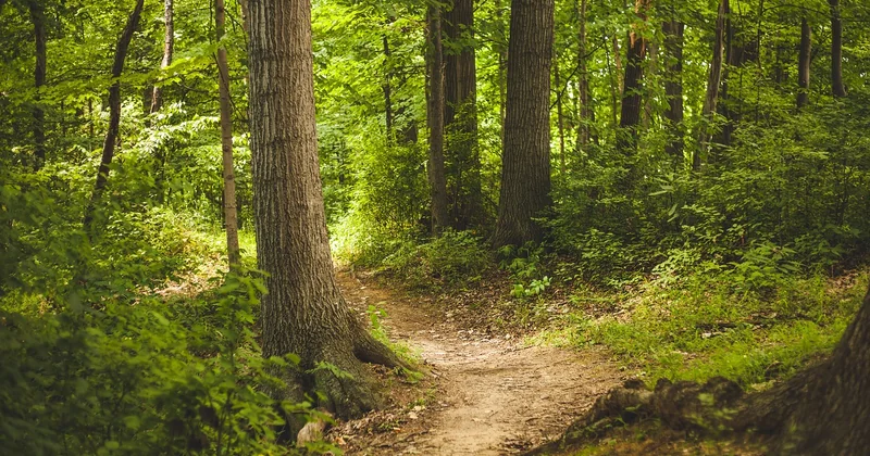 Randonnée dangereuse en France : les vrais dangers, pas les fantasmes