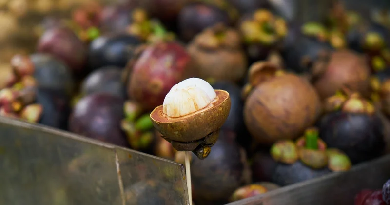 Singapour : la street food aseptisée — et c'est tant mieux