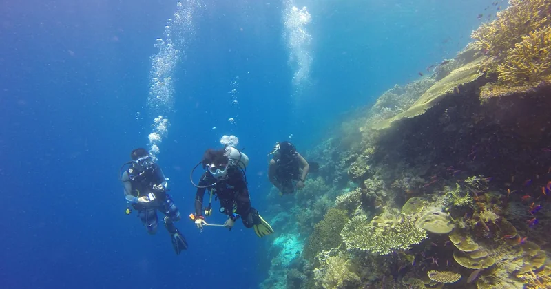 Raja Ampat, Indonésie : la référence absolue (et je ne suis pas près de changer d'avis)