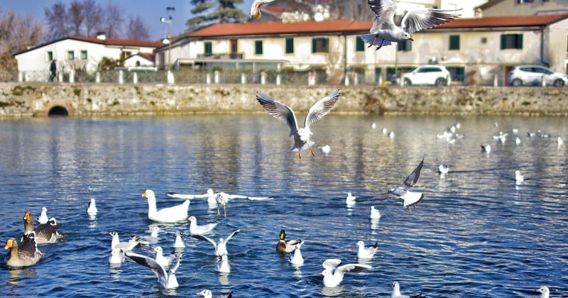 Magazine voyage : destinations et bons plans pour voyager lentement cette saison