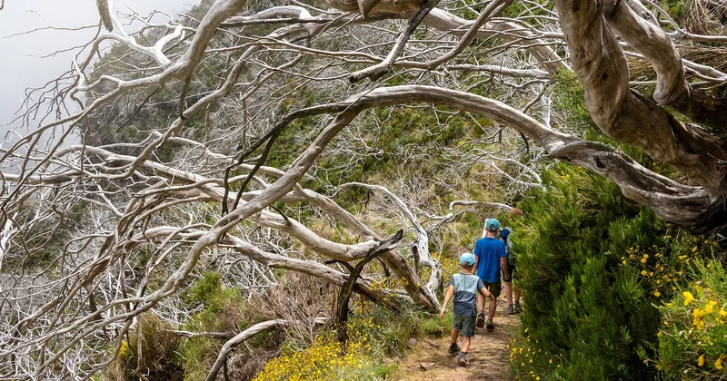 Les activités d'aventure concrètes, classées par âge des enfants